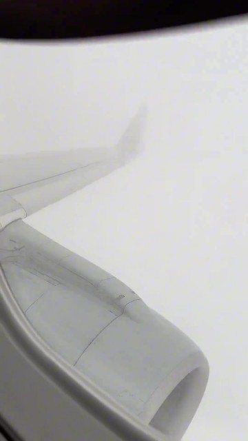 非常惊险！孟超晒视频飞机亲历俄城恶劣天气：希望大家都平安出行